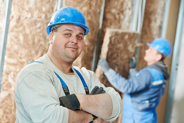 Professional Insulation Services in Batavia, IL